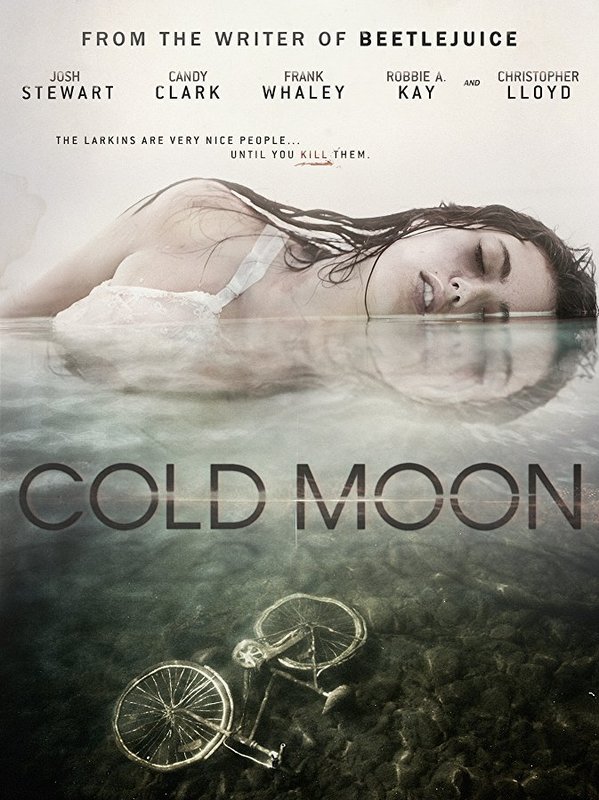 Cold Moon_indieactivity
