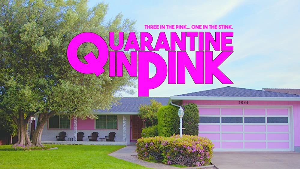 Quarantine in Pink_indieactivity