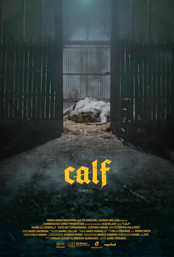 CALF_indieactivity