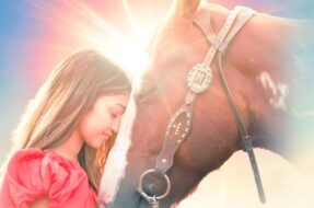 Joy of Horses by Ava Justin acquired by BMG Global