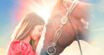 Joy of Horses by Ava Justin acquired by BMG Global