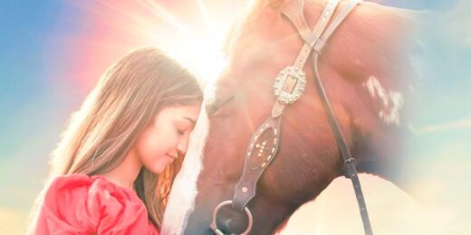 Joy of Horses by Ava Justin acquired by BMG Global