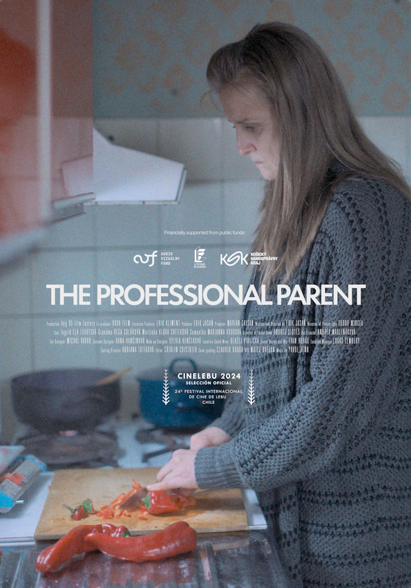 the professional parent_indieactivity